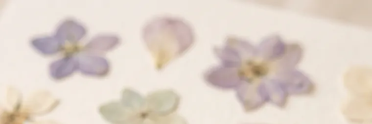 押し花を並べた紙面
